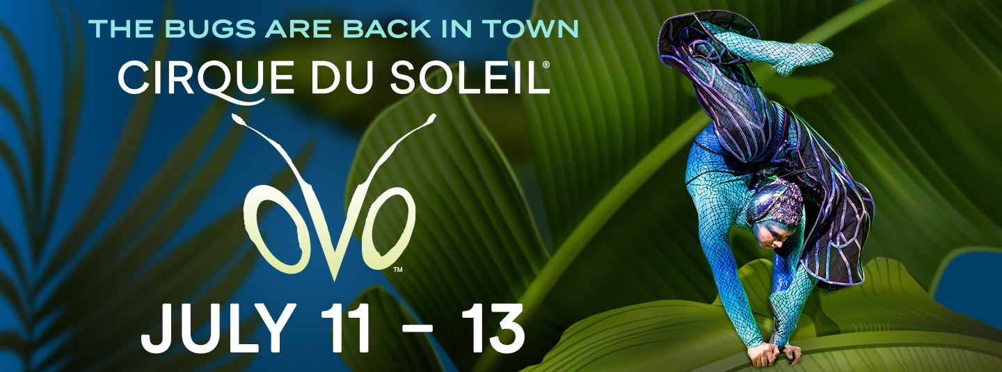 Cirque du Soleil: OVO